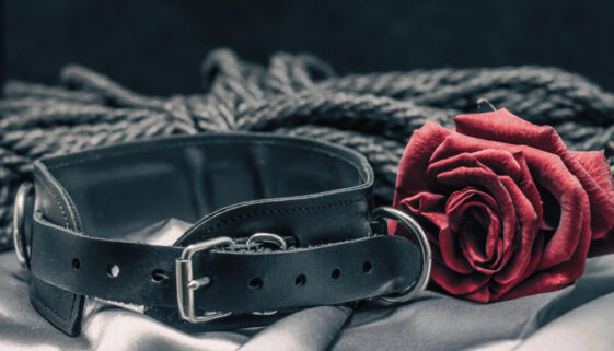 collar and red rose
