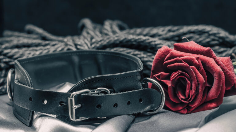 collar and red rose